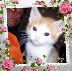 Meet your Posher, Charlyn